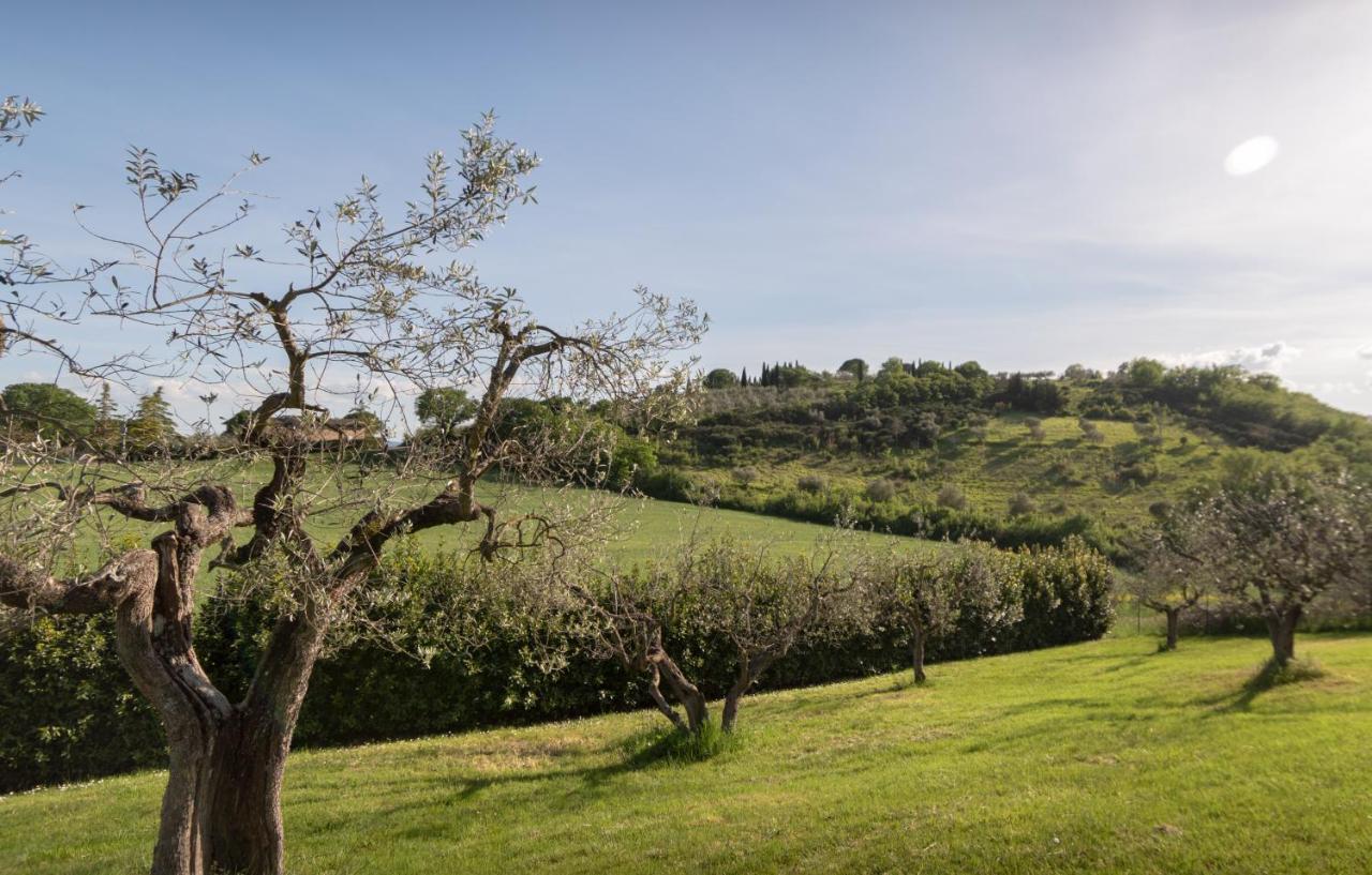 Residenza Il Falchetto อัสซิซี ภายนอก รูปภาพ