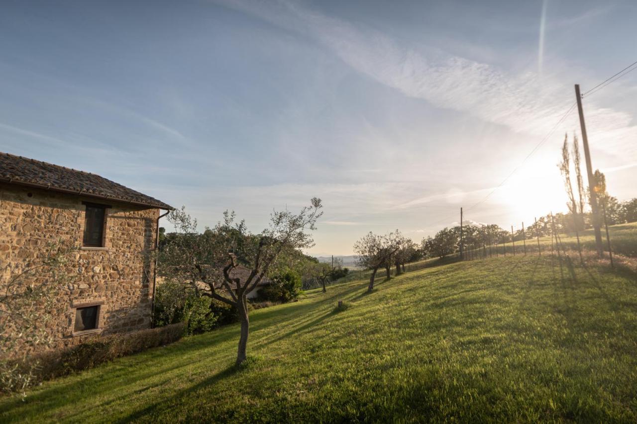 Residenza Il Falchetto อัสซิซี ภายนอก รูปภาพ