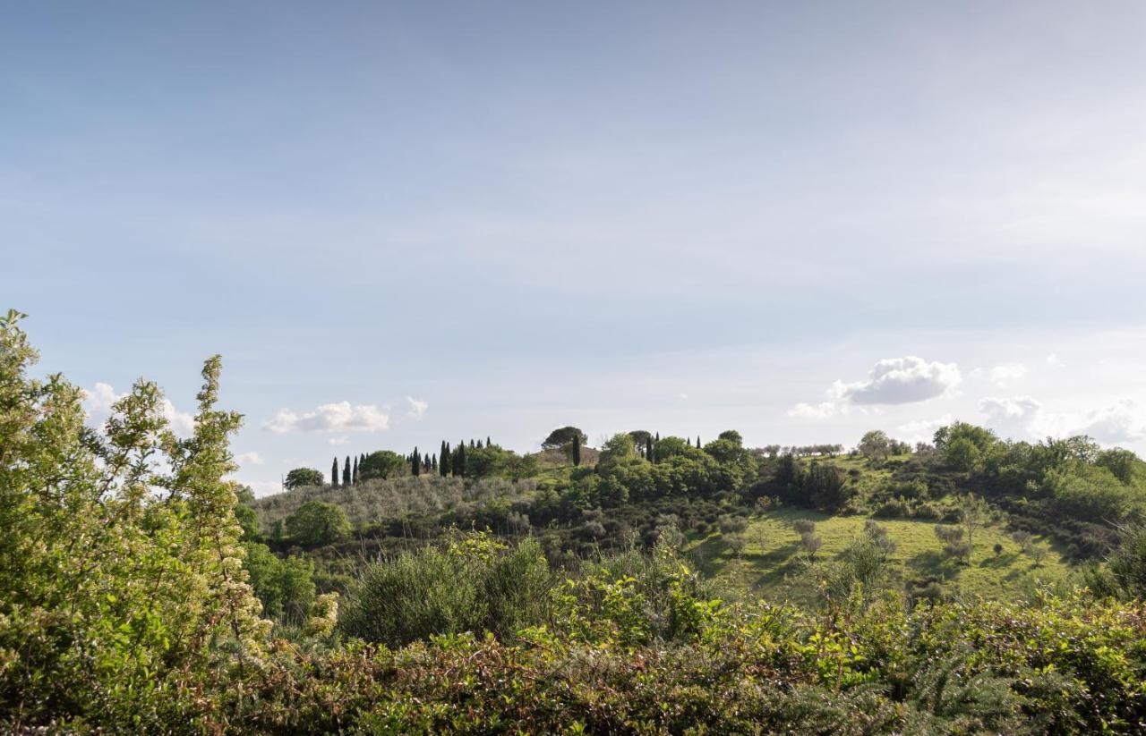 Residenza Il Falchetto อัสซิซี ภายนอก รูปภาพ